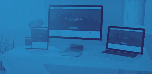 Página Web + Ecommerce (Webpay - Mercado Pago - Pagos Flow)